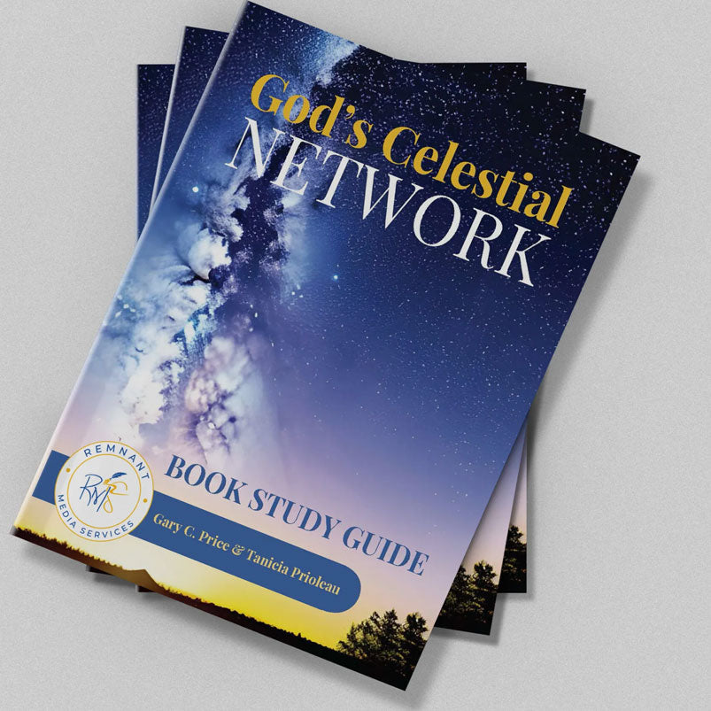 God's Celestial Network Study Guide Paperback