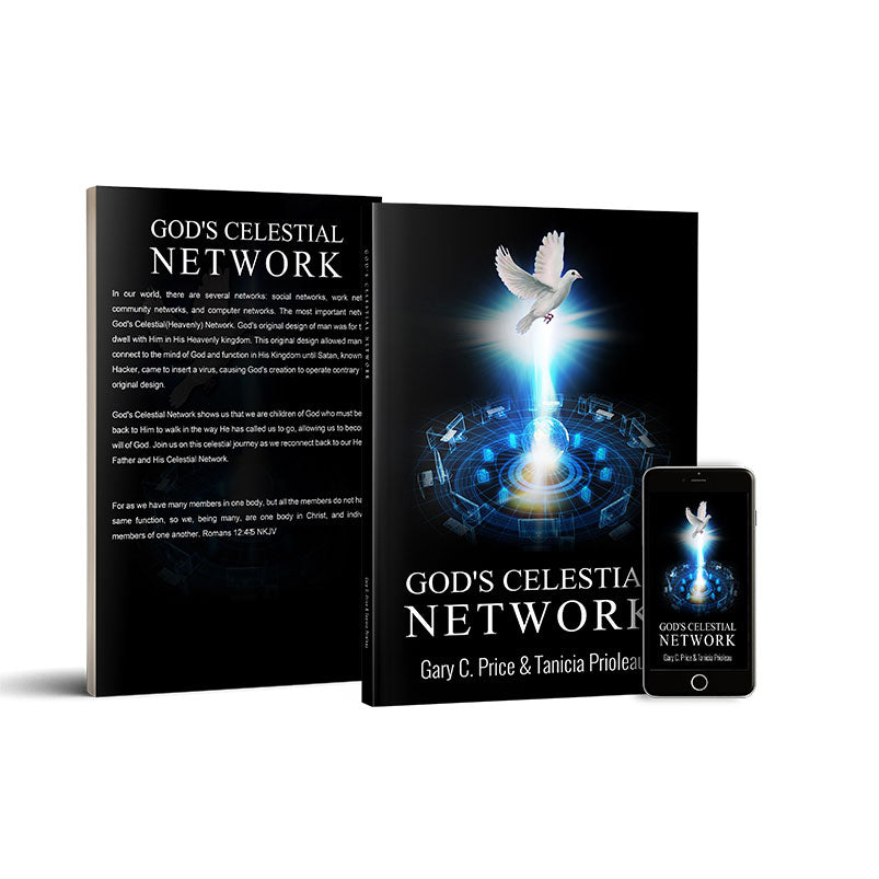 God's Celestial Network Paperback