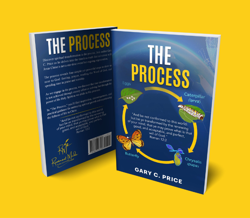 The Process Paperback