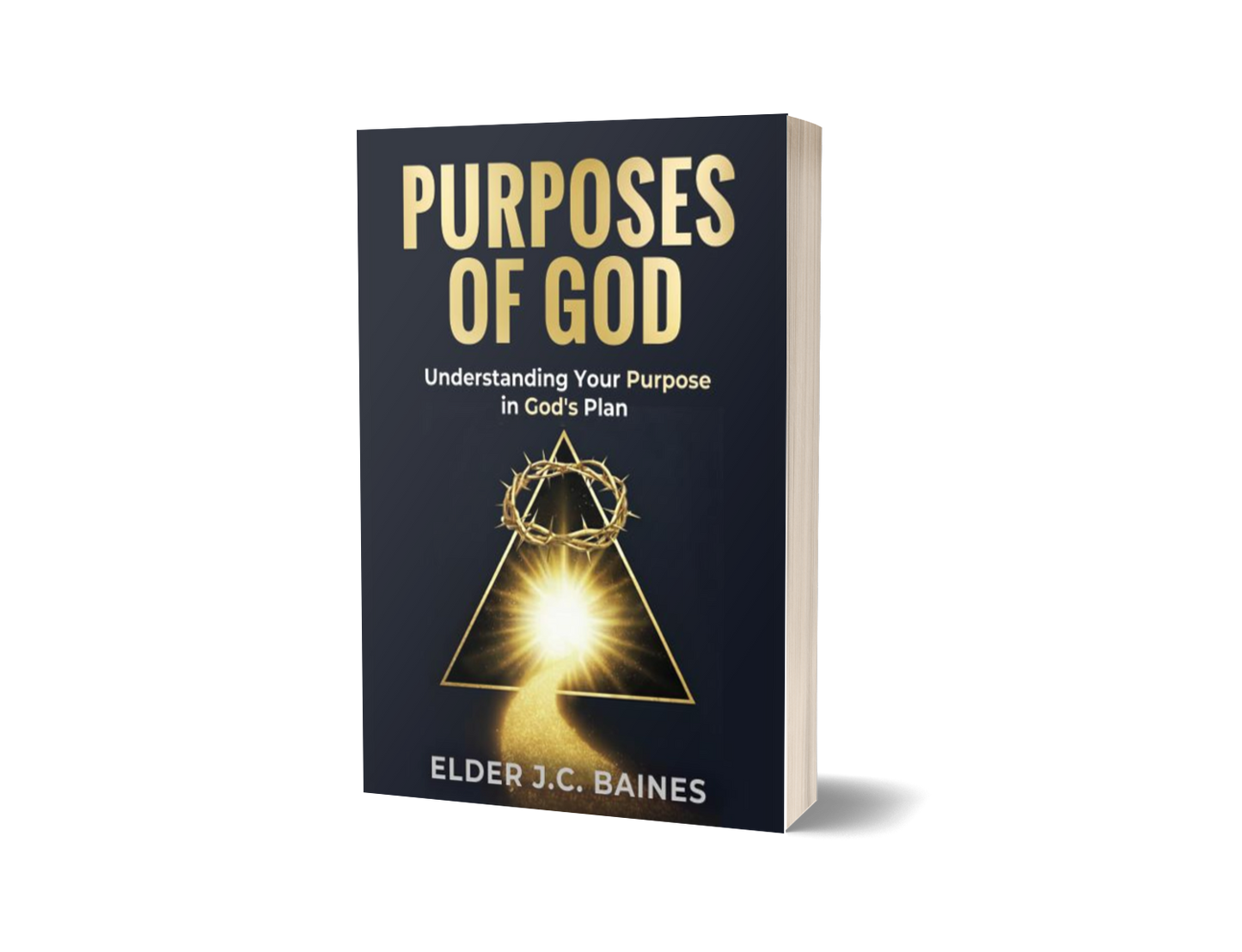 Purposes of God:Understanding Your Purpose in God's Plan (Pre-order)
