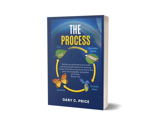 The Process Paperback