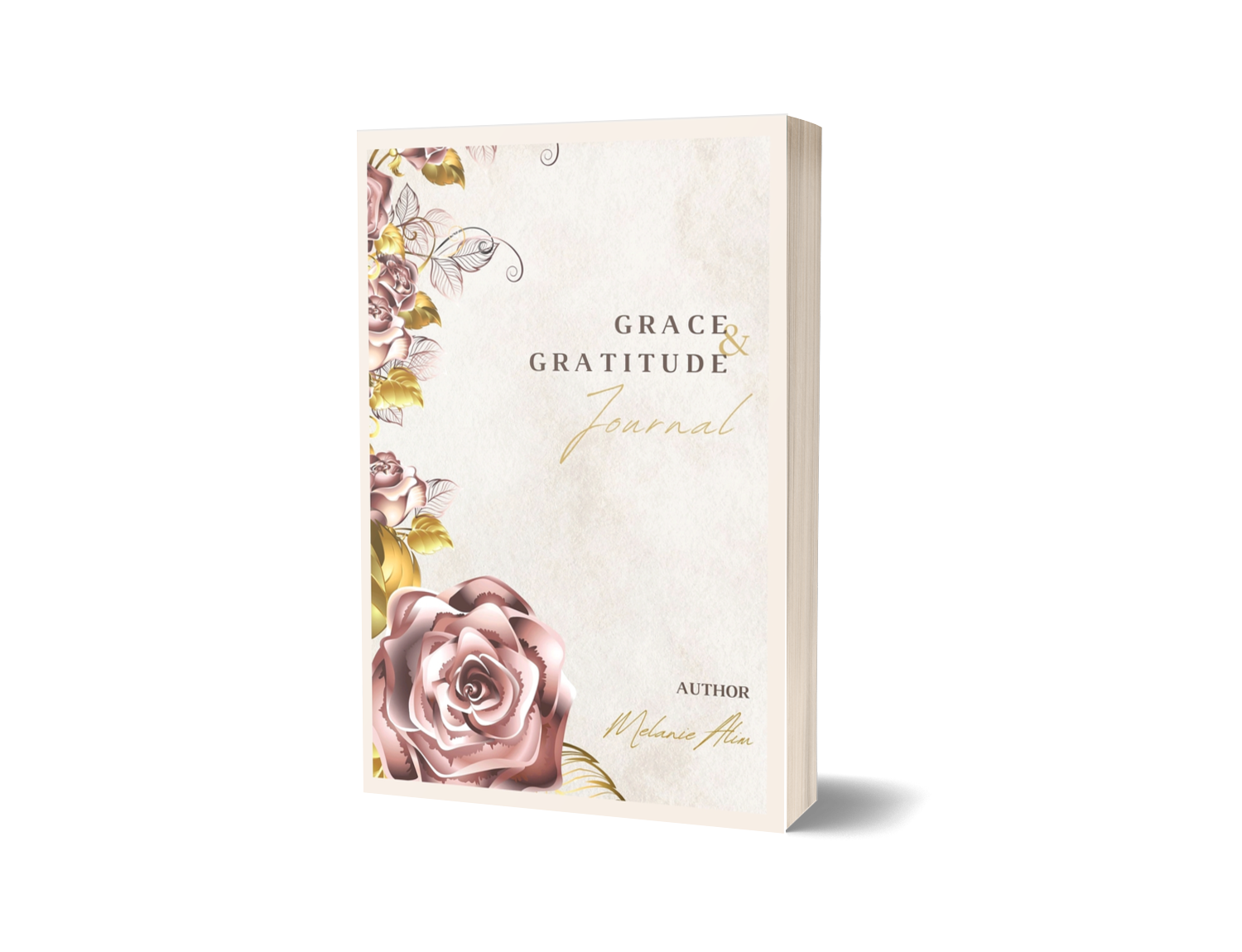 Planners & Journals Collection