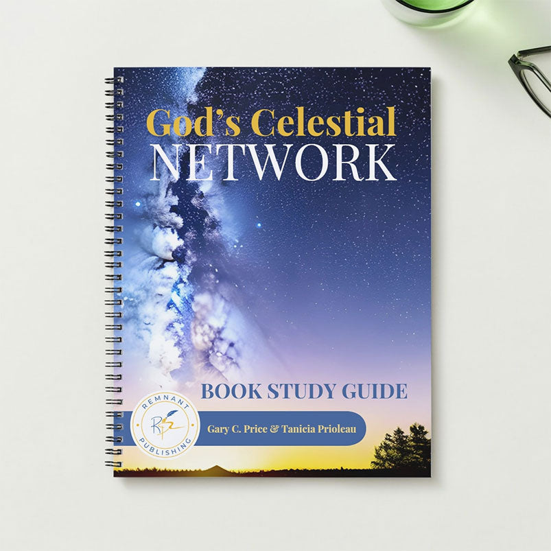God's Celestial Network Study Guide Paperback